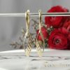 Orecchini GOLDFILLED antiallergici 50mm colore 14K